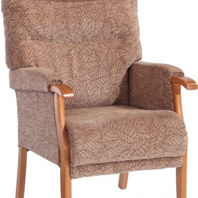 fireside chair read cannington elderly chairs